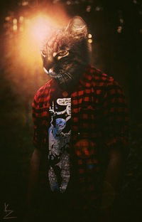 Александр Трошин