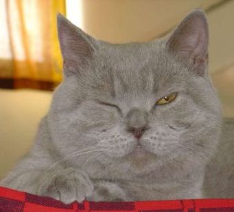 Гусев Сергей