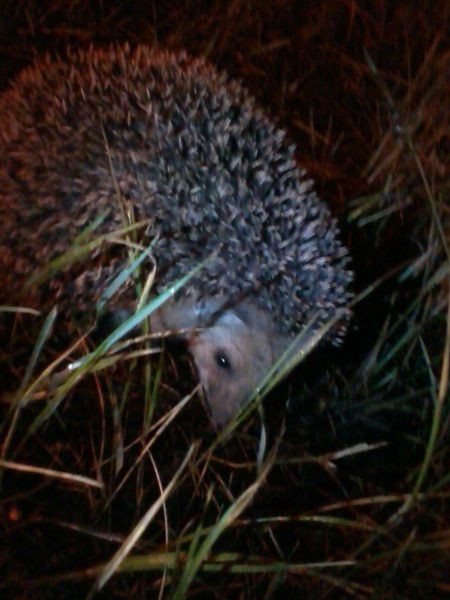 Виталя Барабанцев