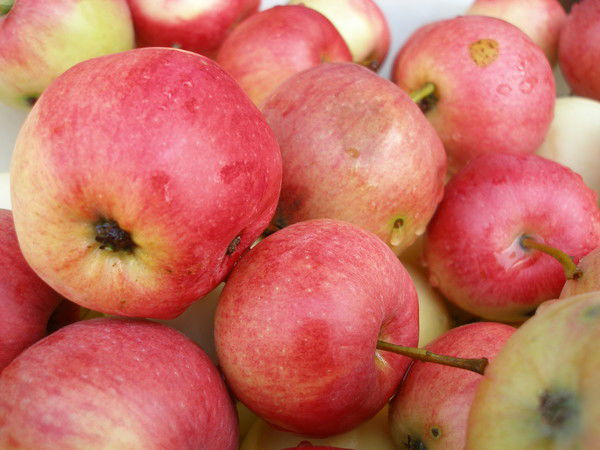 Нелли Фаустова