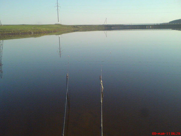 Роман Белоногов