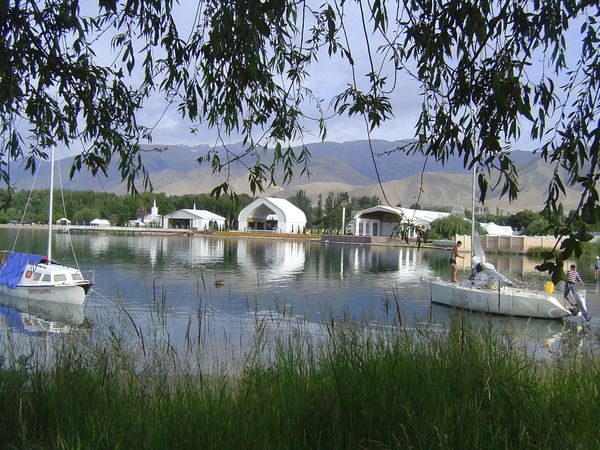 Лариса Боргуль