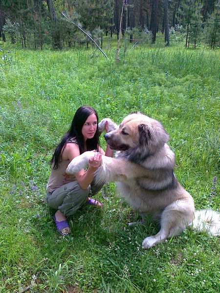 Елена Сергеевна Матвеева