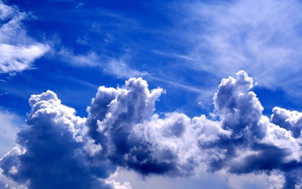 Олеся Брандт