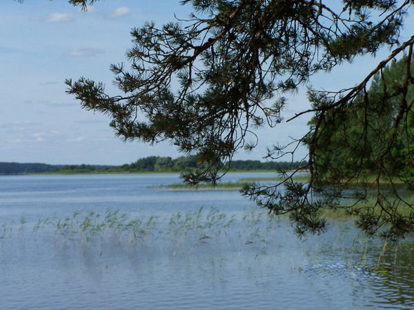 Юлия Иванова