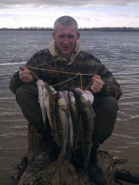 Сергей Осипов