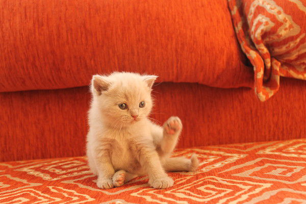 Тамара Малыгина