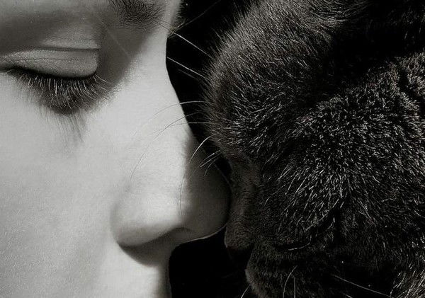 Наталья Белкова