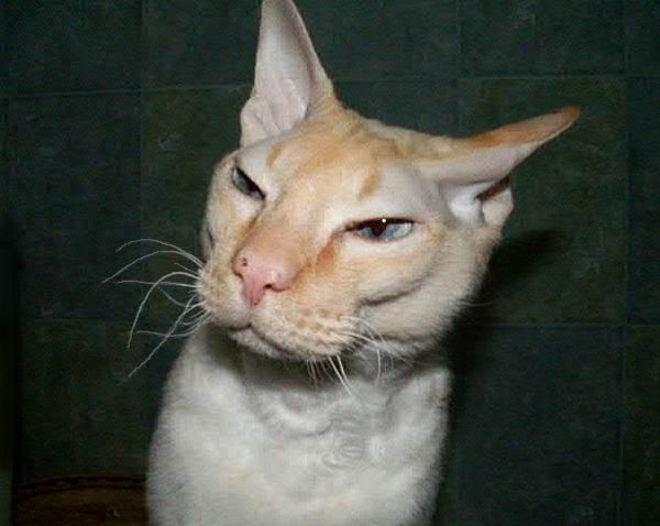 Динар Хамидуллин