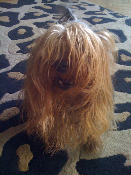 Алла Перцева