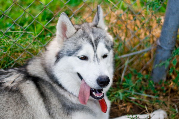 Оксана Мордас