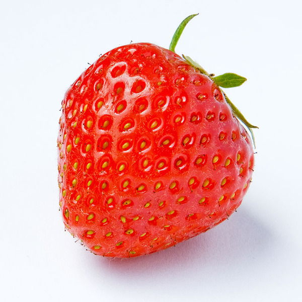 Ольга Плескачёва