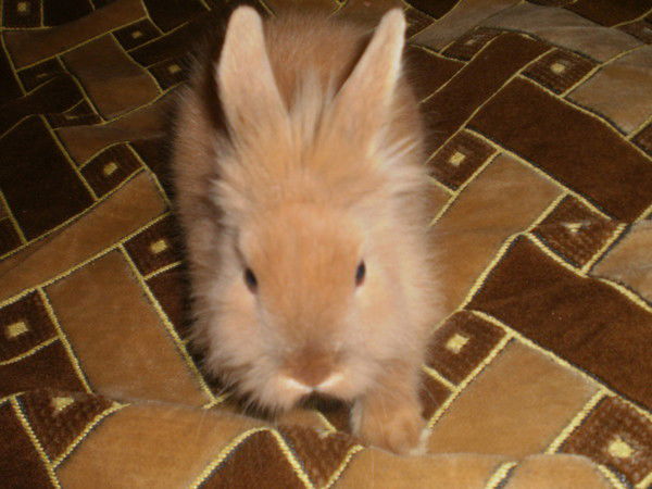 Шахноза Садыкова