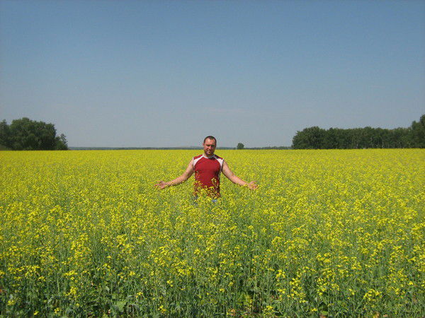 Николай Шульц