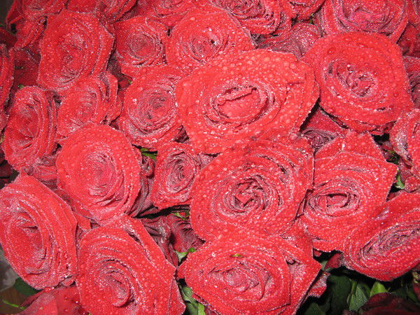 Евгения Мухаметдярова