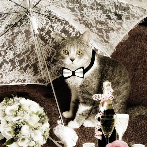 Елена Юрукина