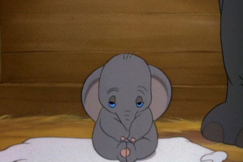 Какие Бермуды