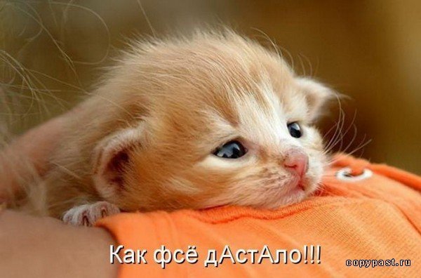 Андрей Скрябин