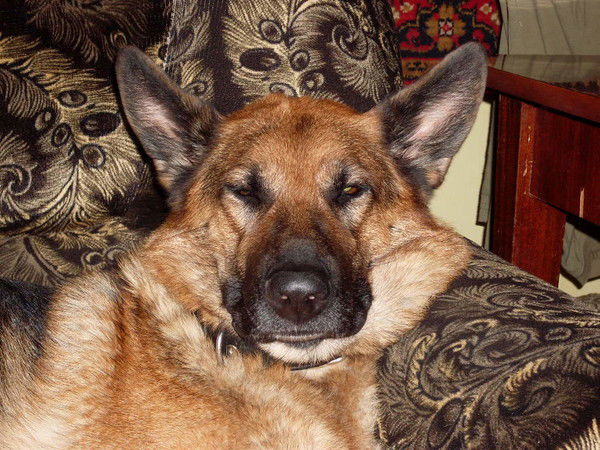 Роман Кузьмин