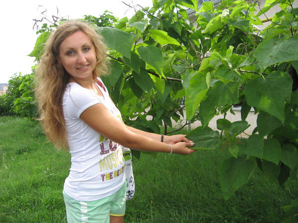 Ольга Козлова