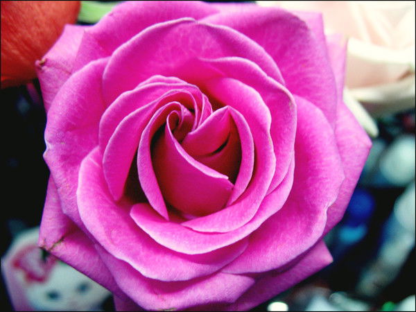 Ната Иванова