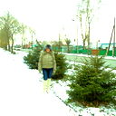 Наталья Токарева