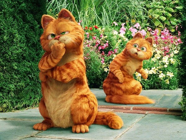 Илья Васильев