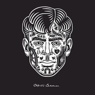 Виктор Плешнёв