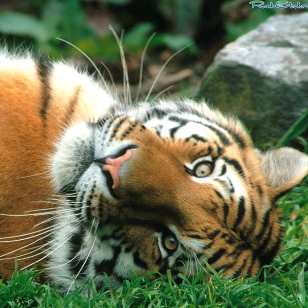 Надежда Жилина