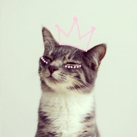 Ирина Моисеева