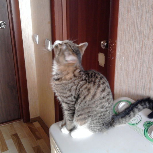 Глафира Пономарева