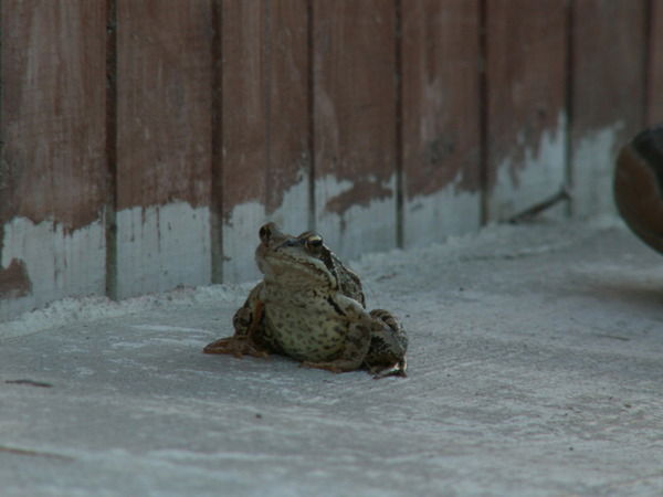 Неизвестно Неизвестно