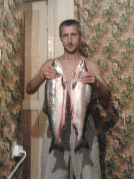 Владимир Бородулин