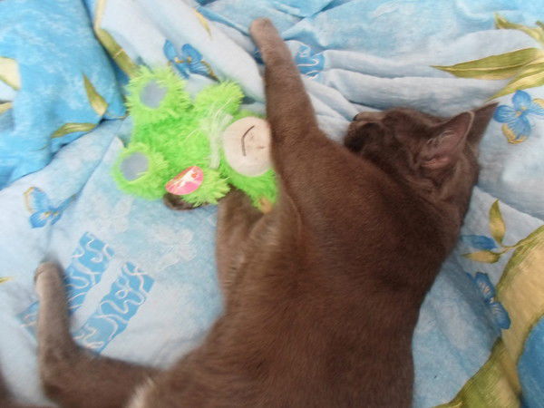 Роман Фустий