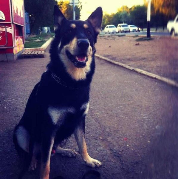 Сергей Дружинин