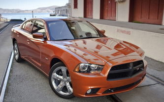 Светлана Рехтина