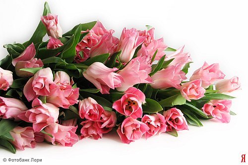 Любовь Батрак