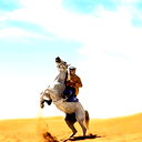 Amir Mir