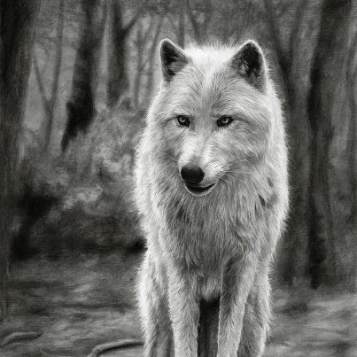 Манзя Дарья