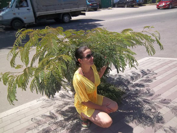 Клавдия Чеботарёва