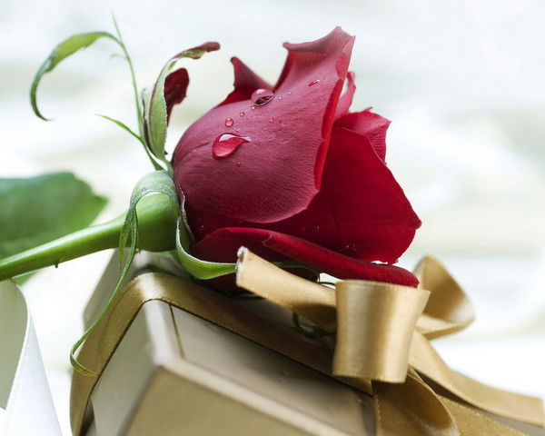 Ирина Масленникова