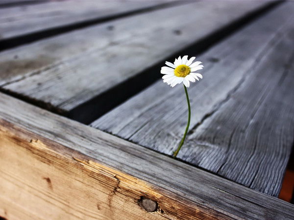 Наталья Гуляева