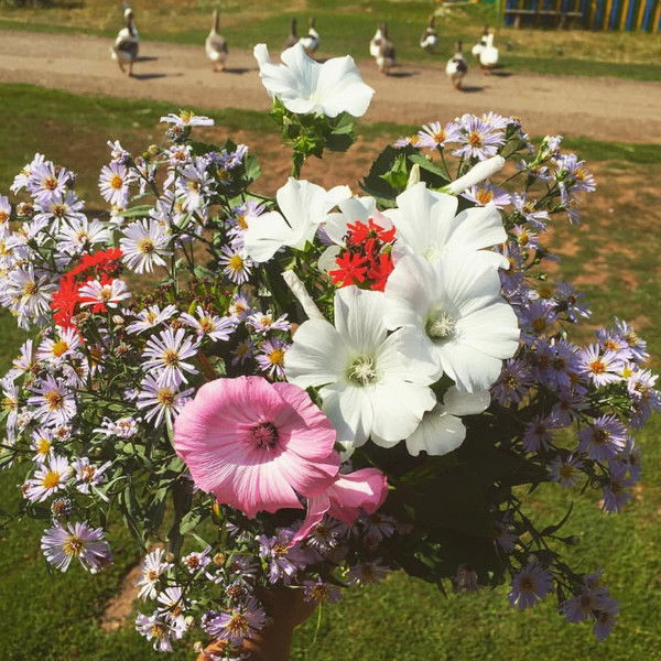 Светлана Андреева