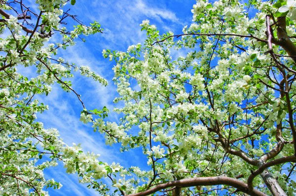 Виктор Морозов