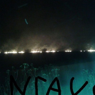 Дмитрий Новиков