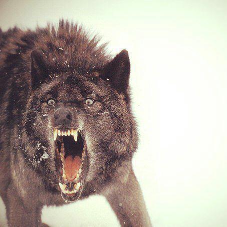 Dastan Nurkamil Uulu