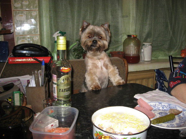 Виктор Лутошкин