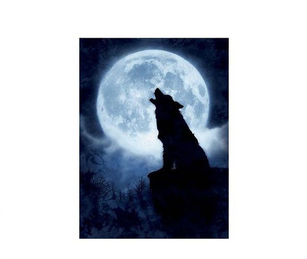 Максим Кирилин