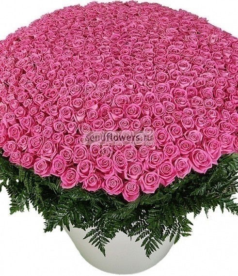 Лидия Полимонова