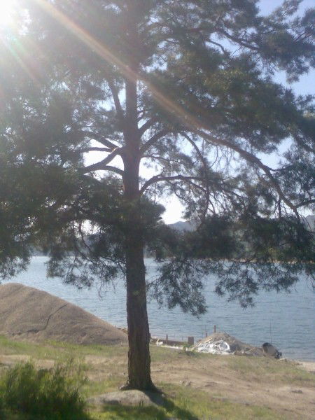 Жека Мазитов